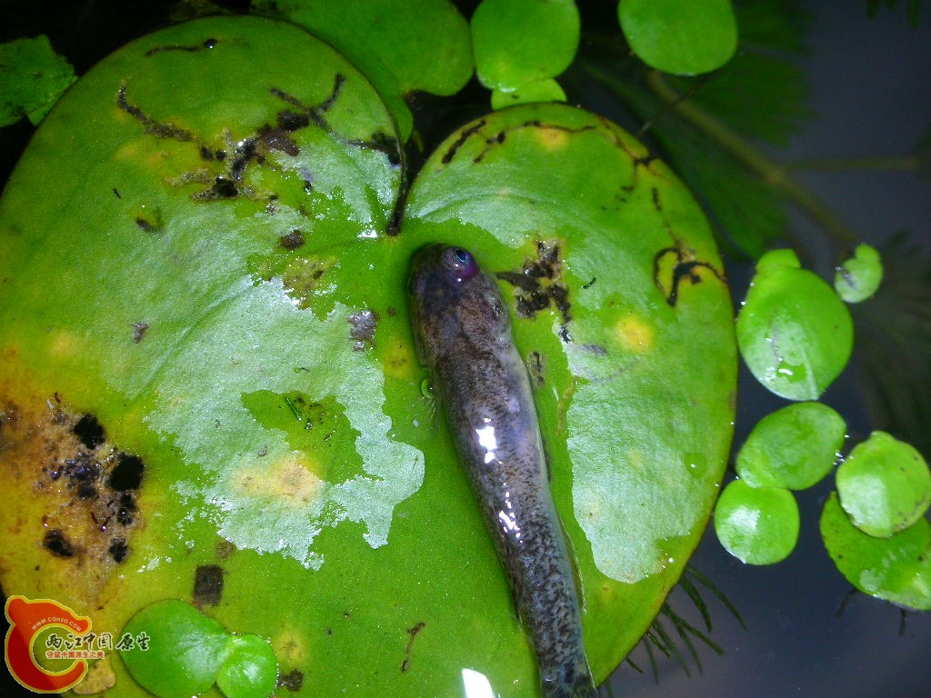 DSCN3754.JPG