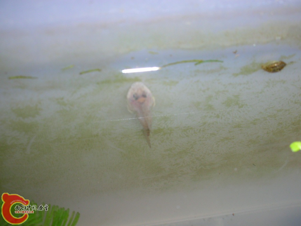 DSCN3748.JPG