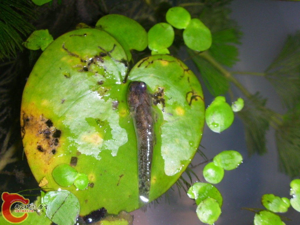 DSCN3749.JPG