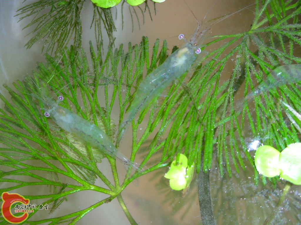DSCN3751.JPG