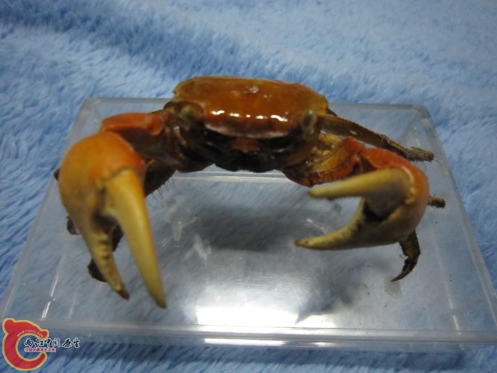 IMG_2820.JPG
