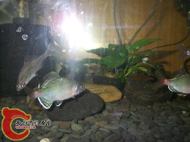 100_9919.JPG
