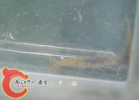 DSC_0095.jpg