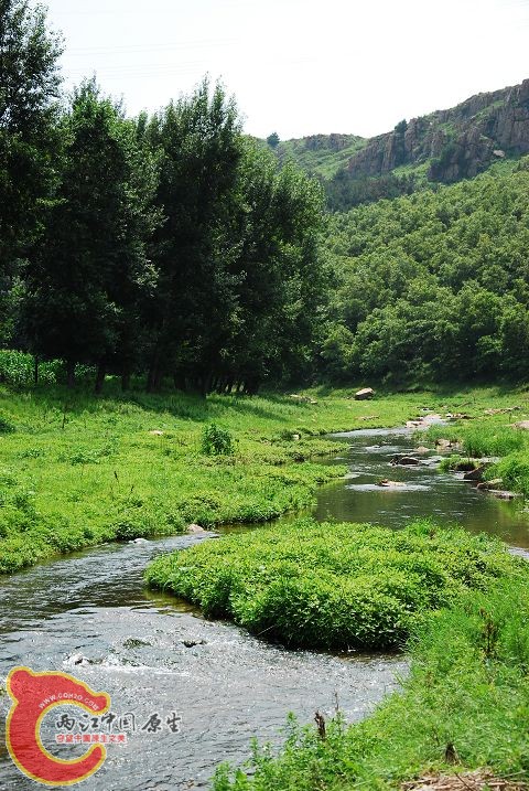 DSC_0127.jpg