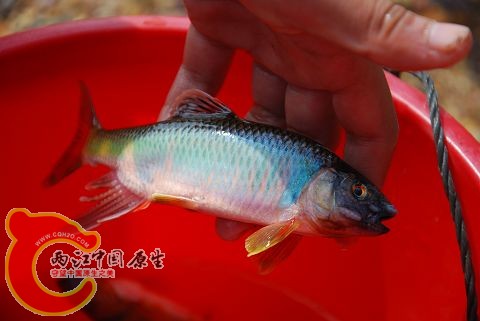 DSC_0165.jpg