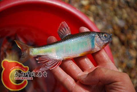 DSC_0162.jpg