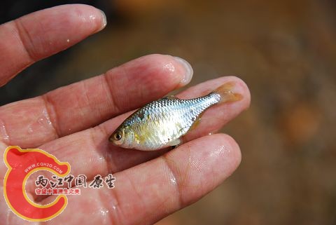 DSC_0186.jpg