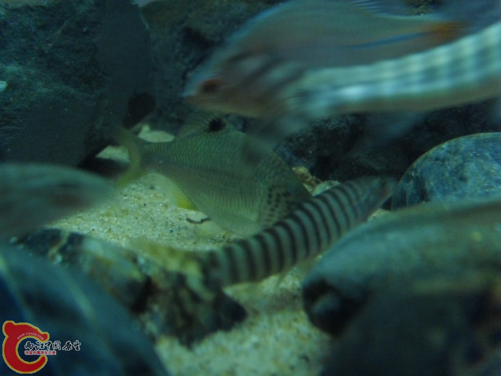 SDC12148.JPG