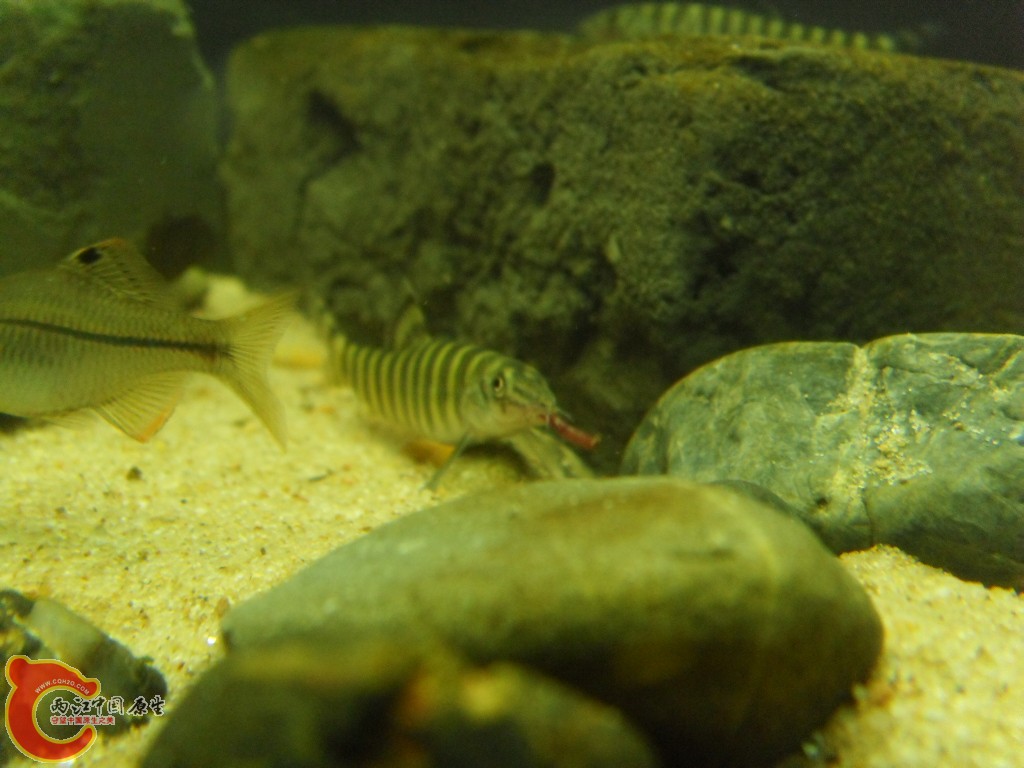 SDC12279.JPG