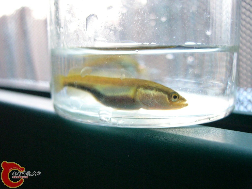 DSCN4528.JPG