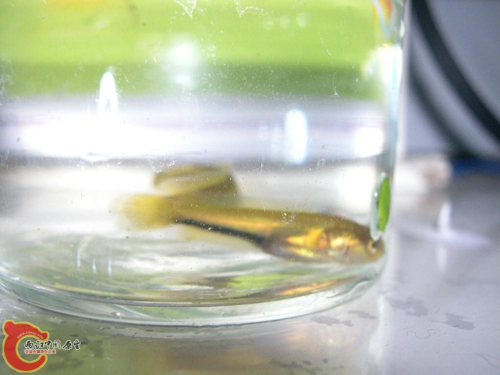 DSCN4539.JPG