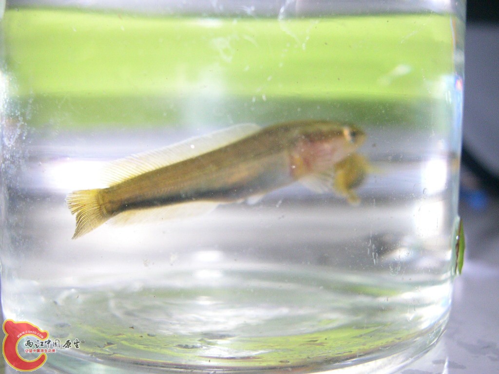 DSCN4542.JPG
