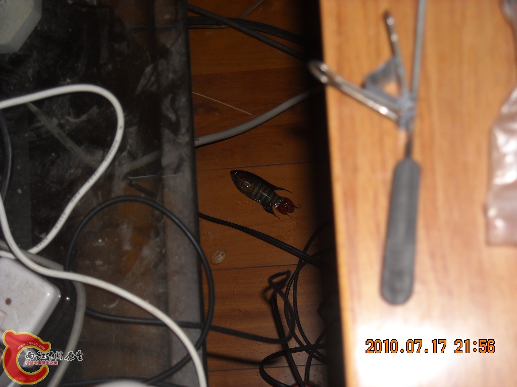 DSCN1729.JPG