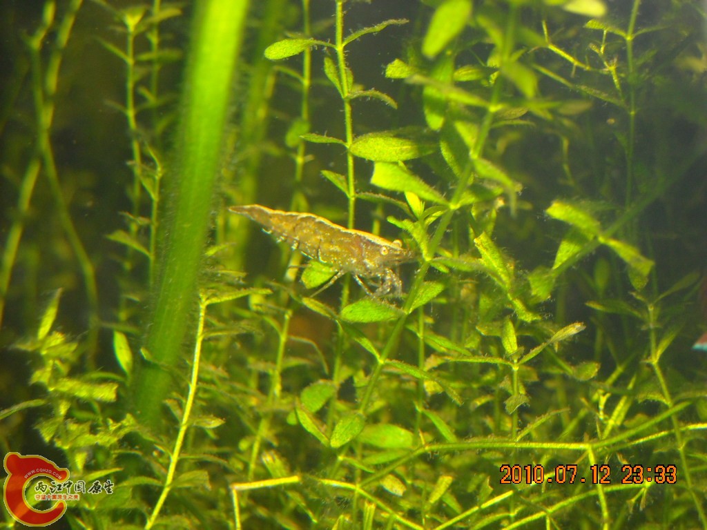 DSCN1249.JPG