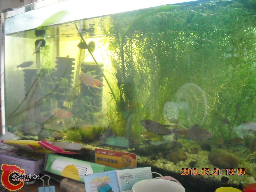 DSCN1887.JPG