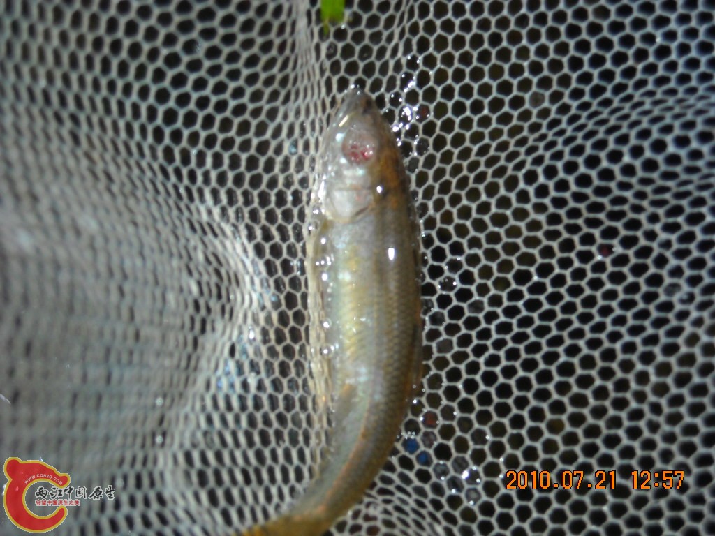 DSCN1883.JPG
