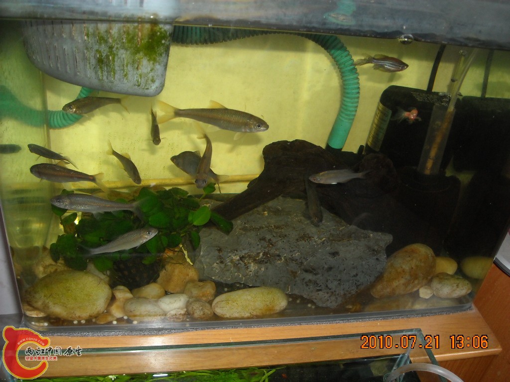 DSCN1890.JPG