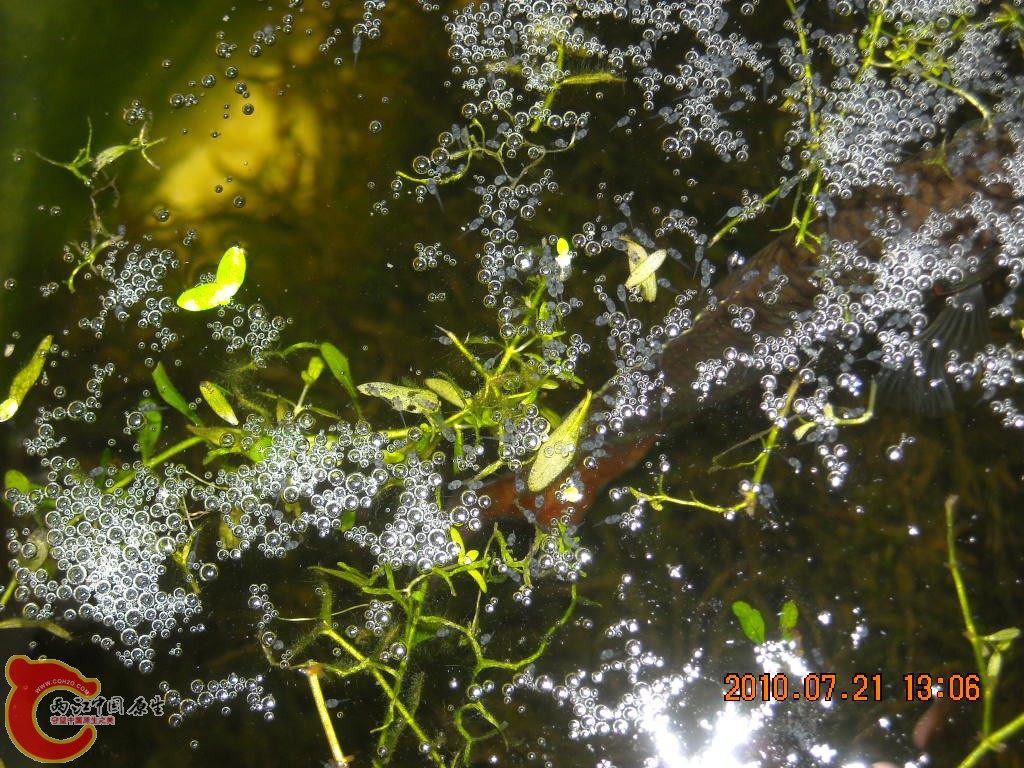 DSCN1892.JPG