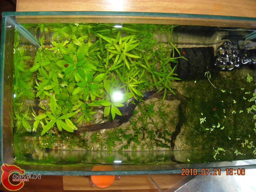 DSCN1889.JPG