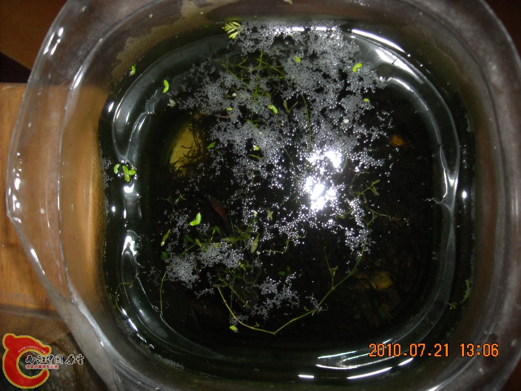 DSCN1891.JPG