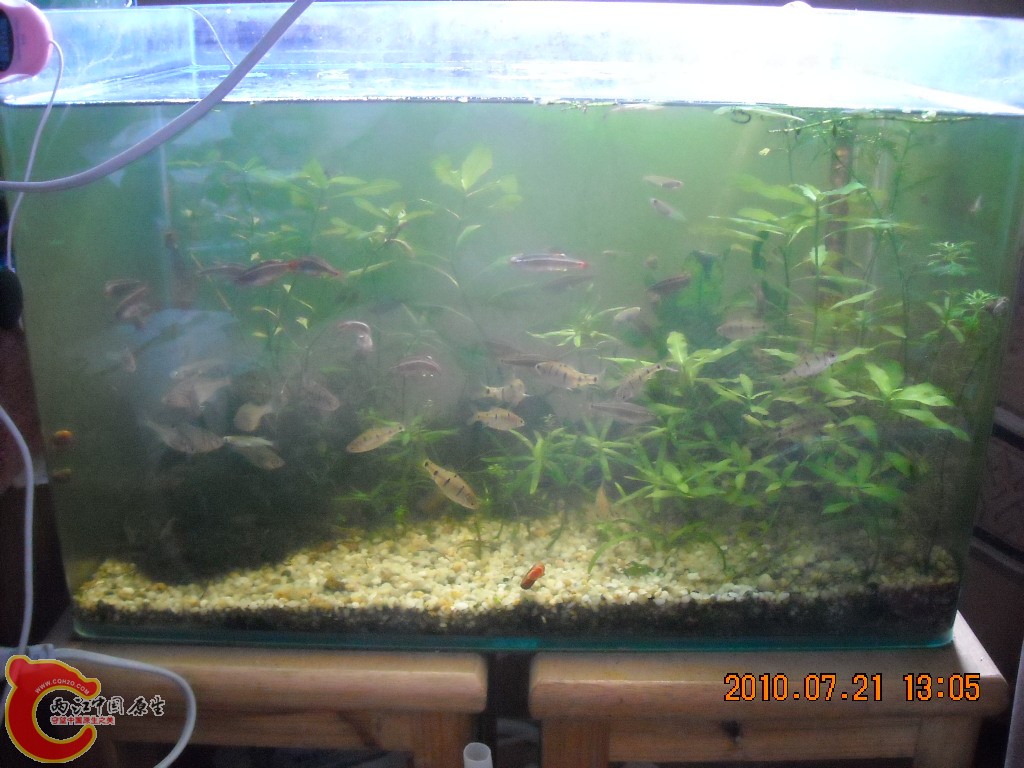 DSCN1888.JPG
