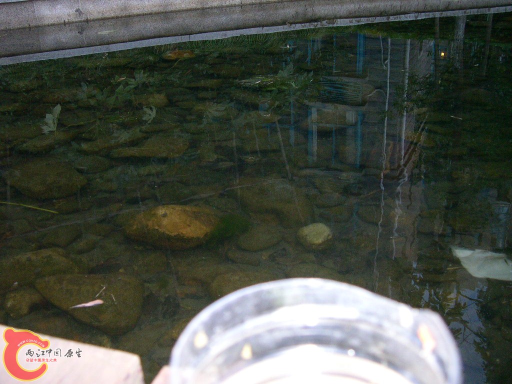 DSCN4553.JPG