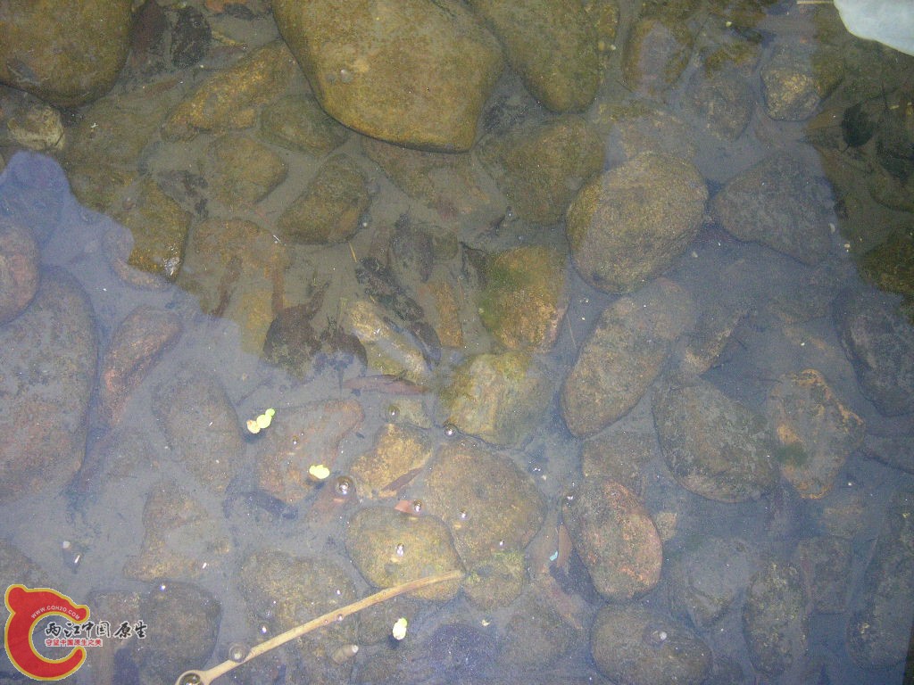 DSCN4555.JPG