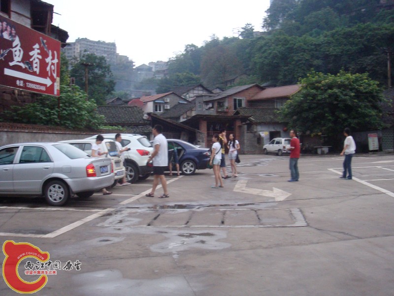 DSC01351.jpg