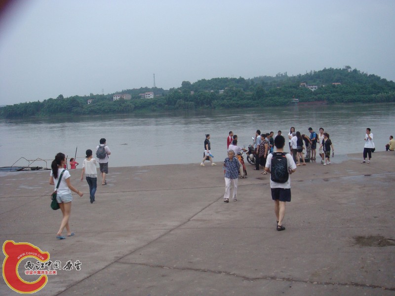 DSC01354.jpg
