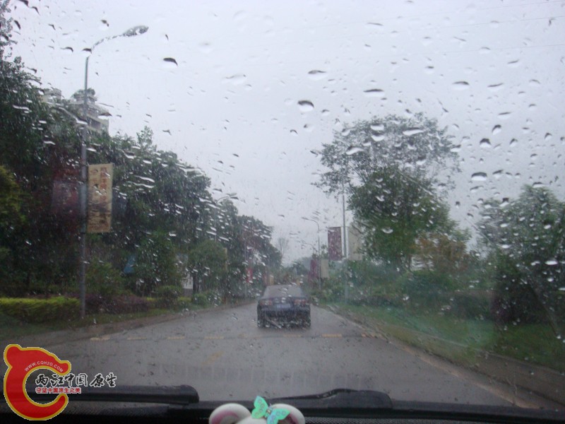 DSC01362.jpg