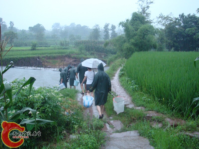 DSC01366.jpg