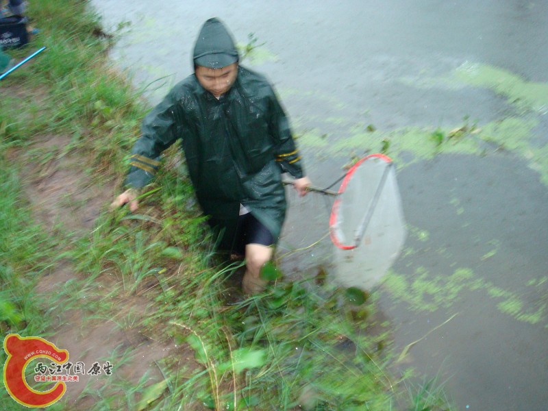 DSC01375.jpg