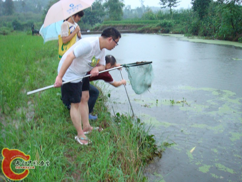 DSC01377.jpg