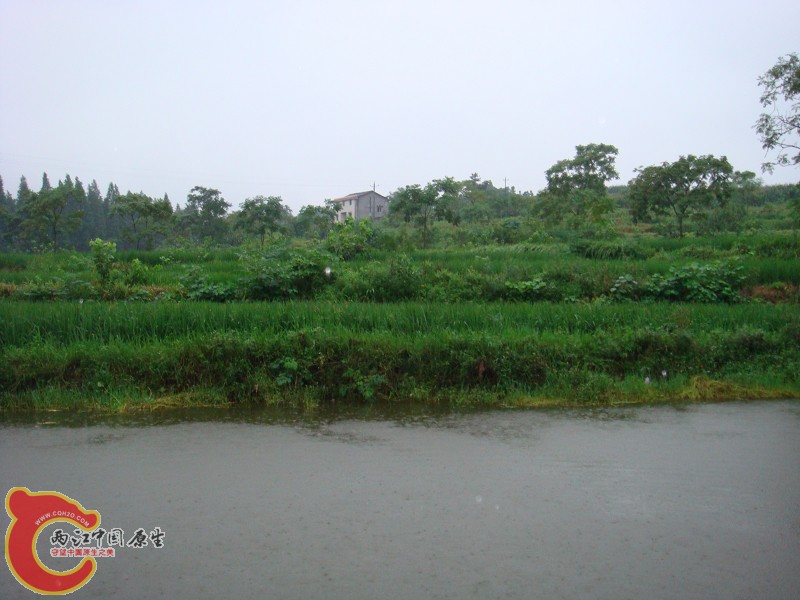 DSC01390.jpg
