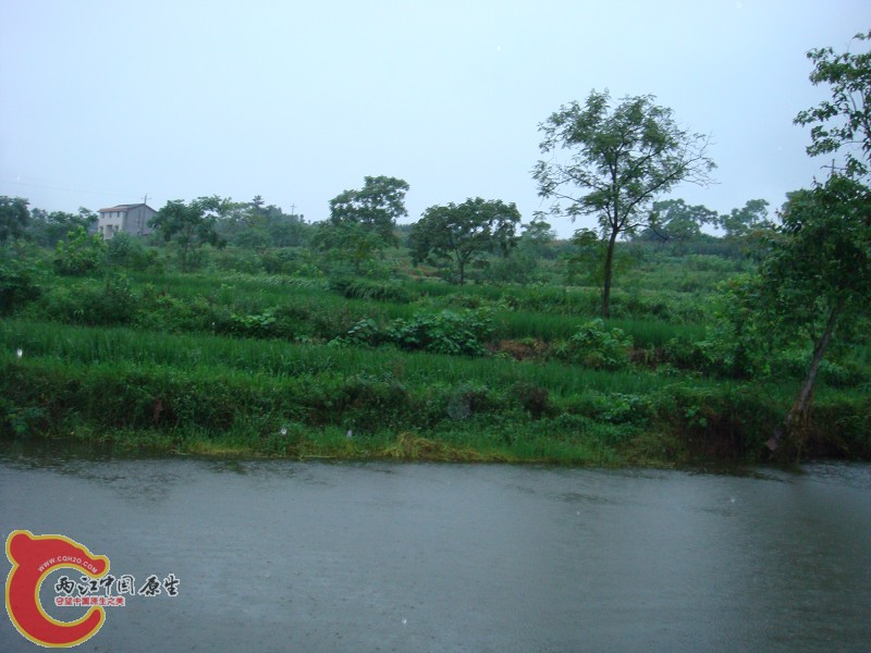 DSC01391.jpg
