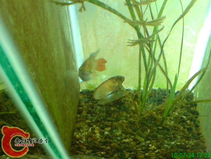 DSC01184.JPG