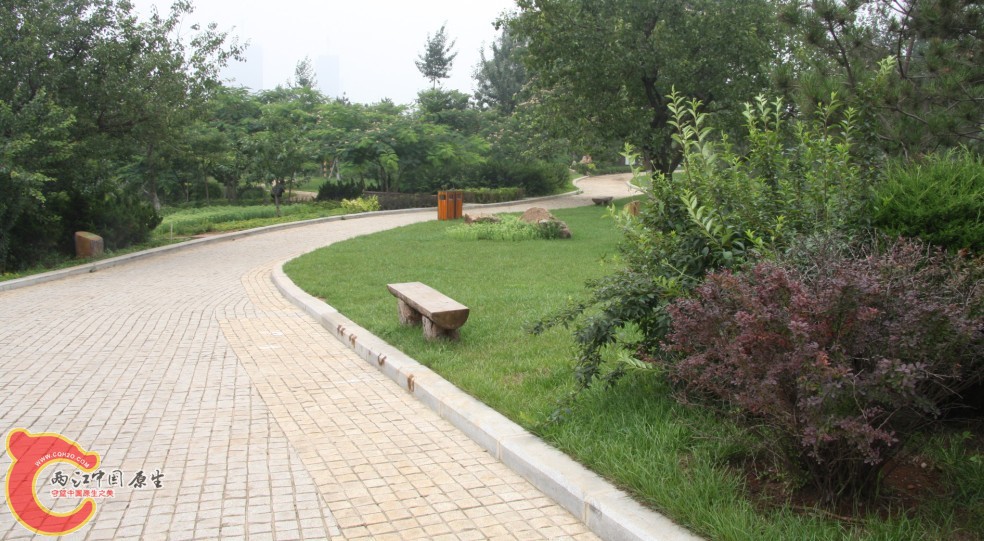 03.jpg
