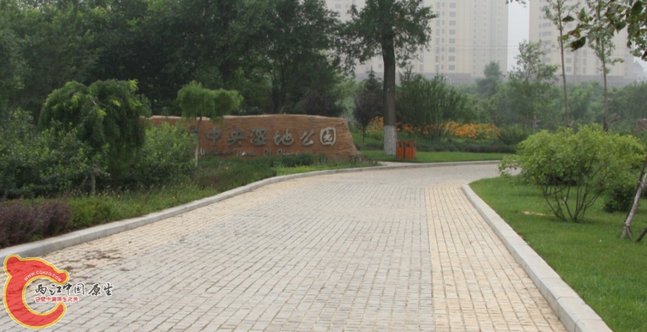 01.jpg