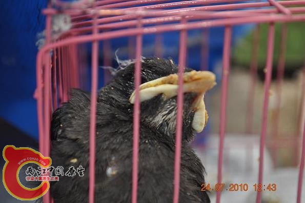 DSC_1361.JPG