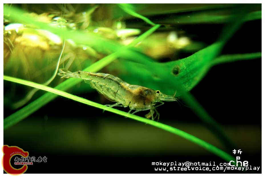 DSC_0337副本.jpg