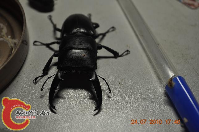 DSC_1373.JPG
