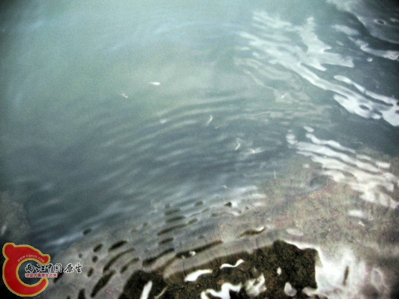 IMG_6117_1.JPG