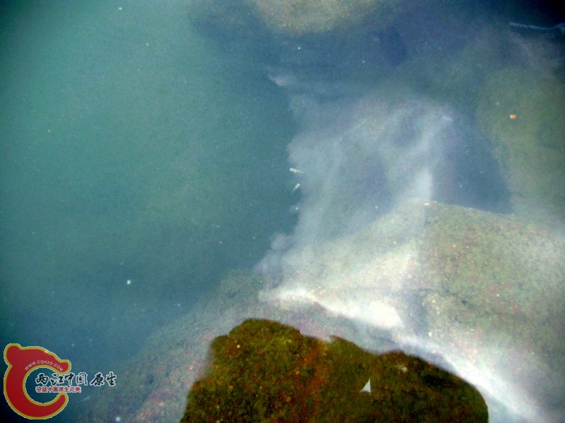 IMG_6124_1.JPG