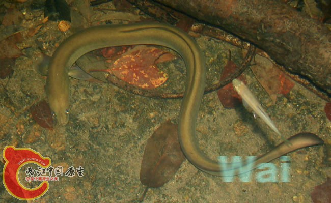 09年06月28日 102  [1].jpg