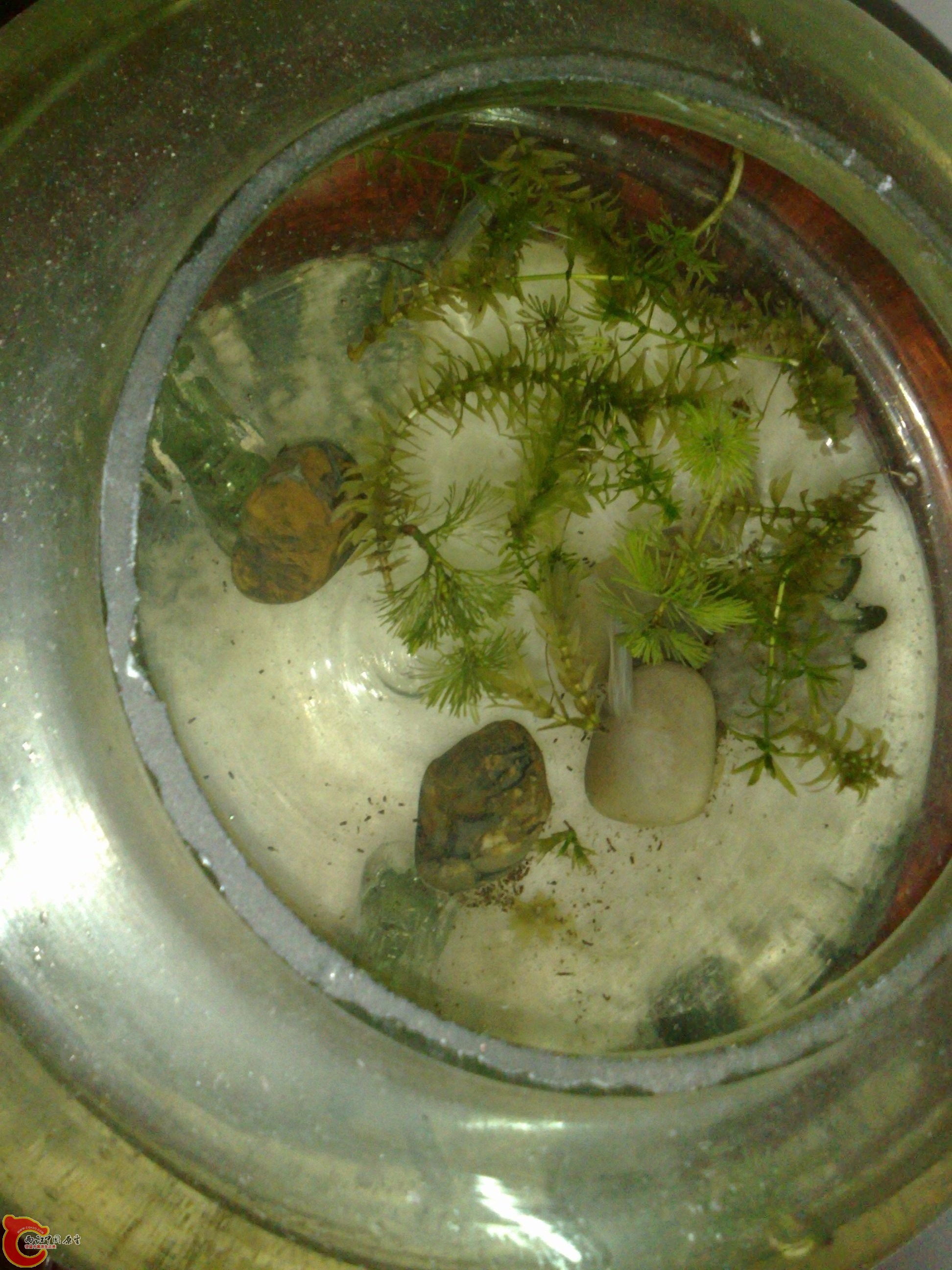 20100726634.jpg