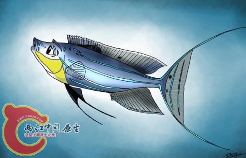 卡通行木.jpg