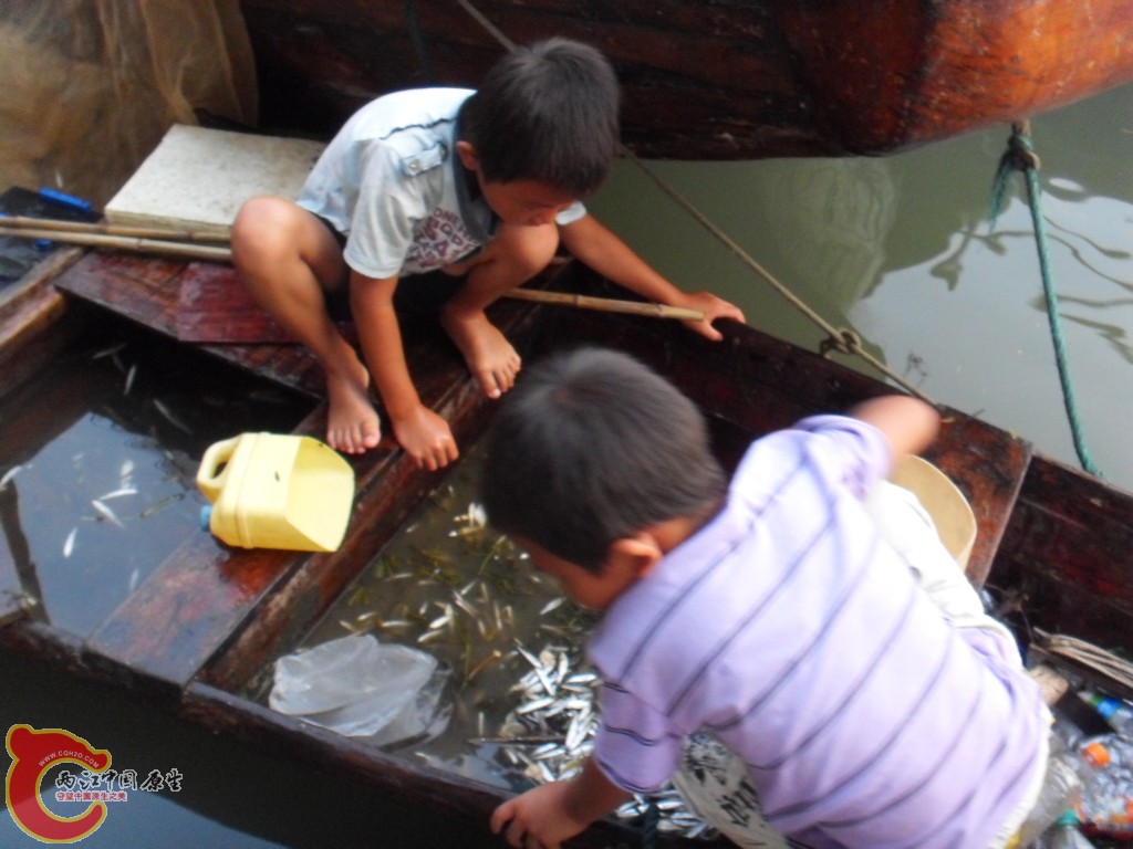 SDC12659.JPG