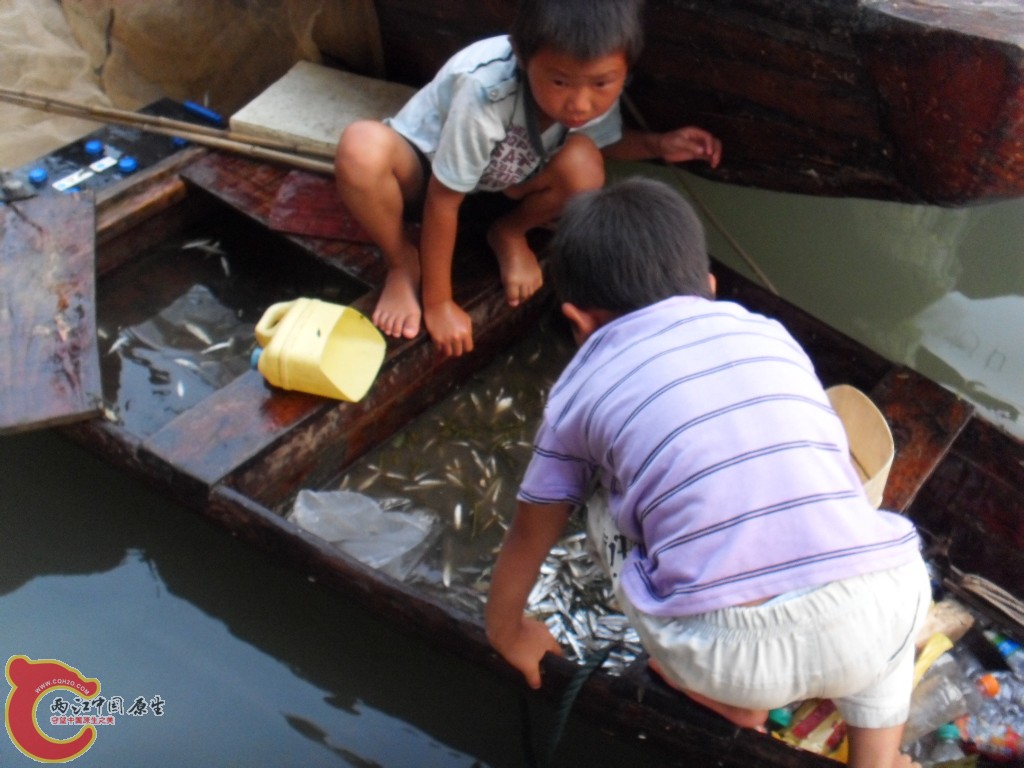 SDC12660.JPG
