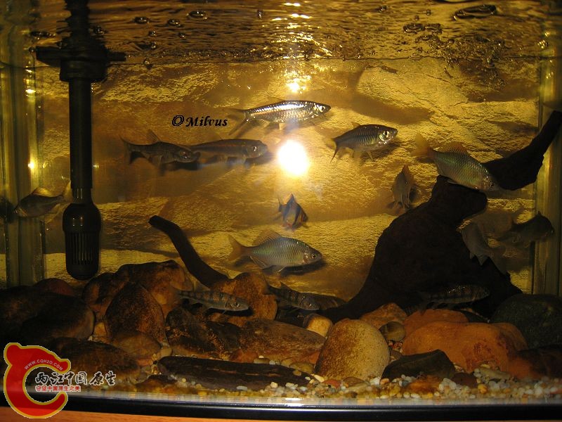 IMG_2099.JPG