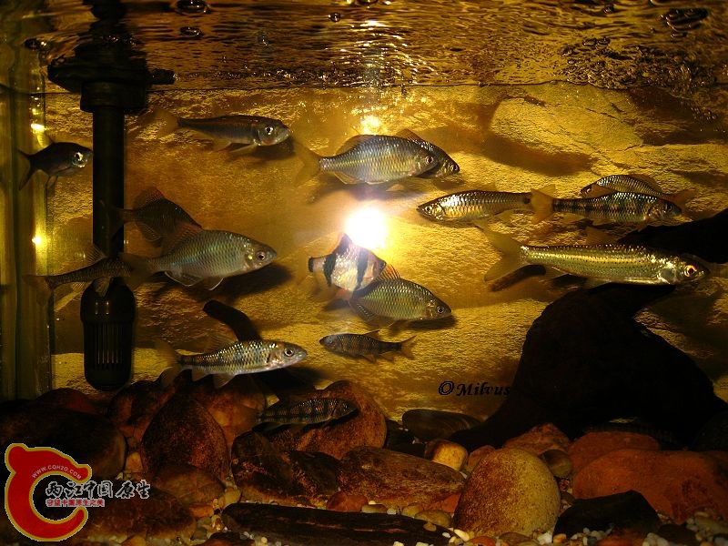 IMG_2101.JPG